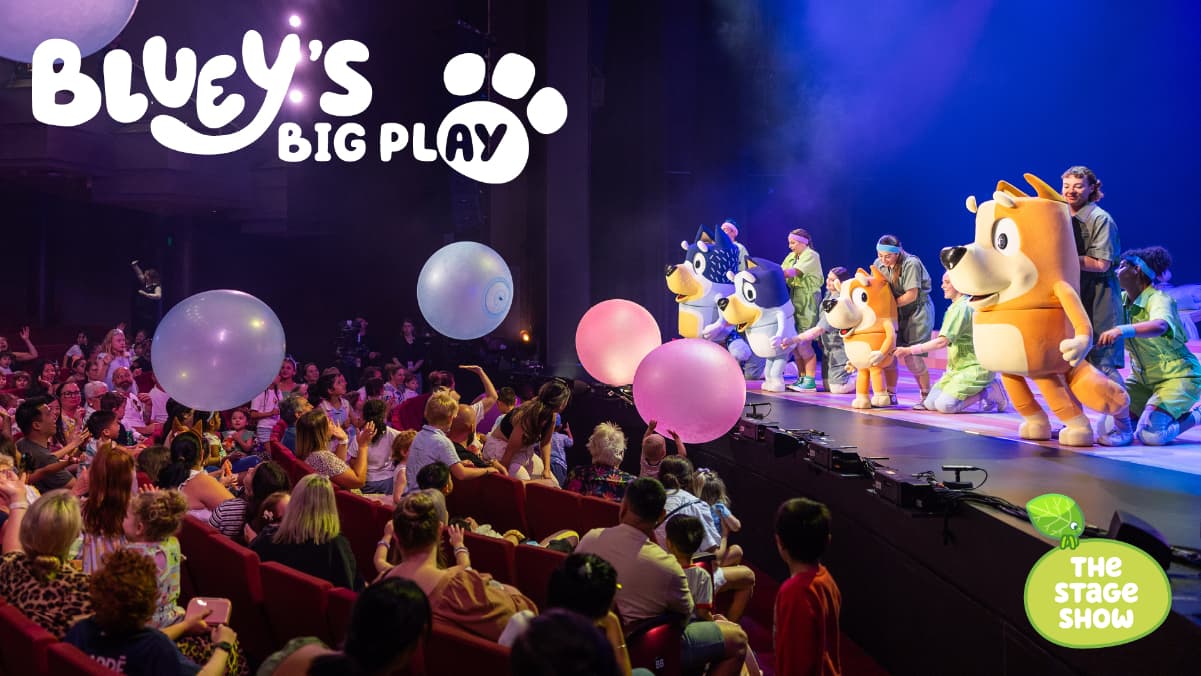 Image preview for Bluey's Big Play