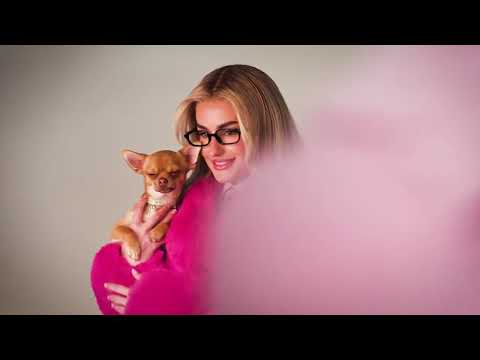 Video preview for Legally Blonde from Youtube
